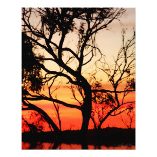 Foto viva da silhueta do por do sol da arte