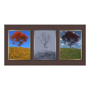 Foto Voe rapidamente o Triptych Photo Impressão