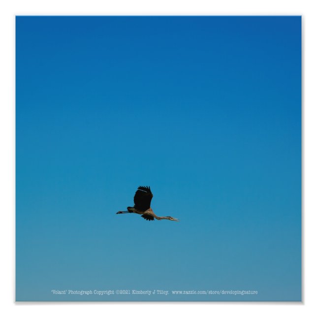 Foto Volante (Frente)