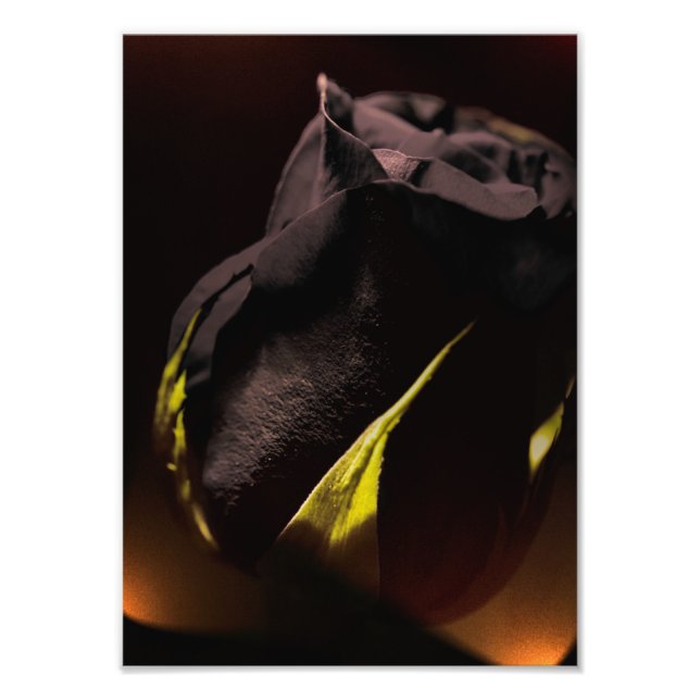 Foto Voltar (Frente)