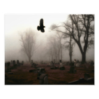 Foto Voo De Corvo De Halloween