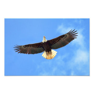 Foto Voo de Eagle