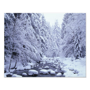 Foto WA, Floresta Nacional Mount Baker-Snoqualmie,