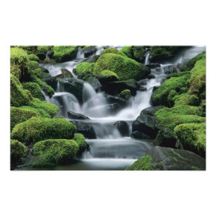 Foto WA, Parque Nacional Olímpico, Vale de Sol Duc, ria