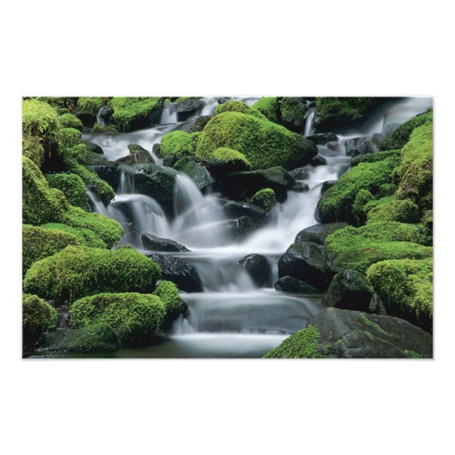 Foto WA, Parque Nacional Olímpico, Vale de Sol Duc, ria (Frente)