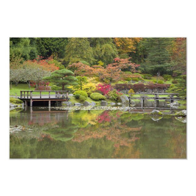 Foto WA, Seattle, Arboreto do Parque de Washington, 3 (Frente)