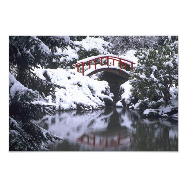 Foto WA, Seattle, Ponte da Lua e lago após o inverno (Frente)