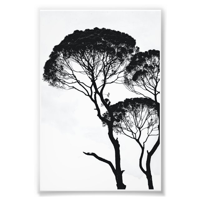 Foto Wall Art (Frente)