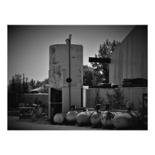 Foto "Wasteoides"