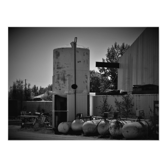 Foto "Wasteoides" (Frente)
