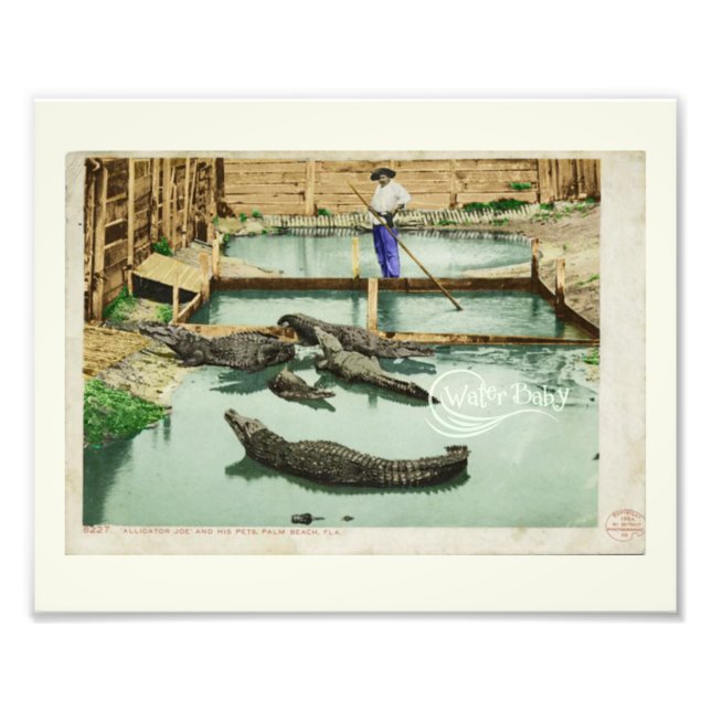 Foto Water Baby Alligator Joe (Frente)