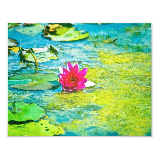 Foto Water Lily Lilypad (Frente)