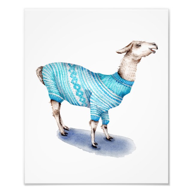 Foto Watercolor Llama em Blue Sweater (Frente)