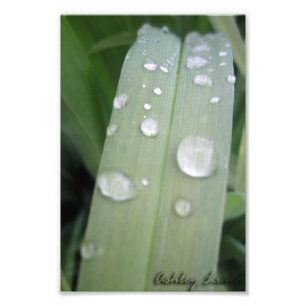 Foto Waterdrops