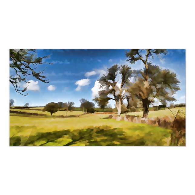 Foto Watery Winter Fields (Frente)