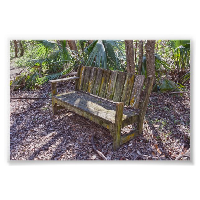 Foto Weathered Park Bench, Ilha Dauphin (Frente)