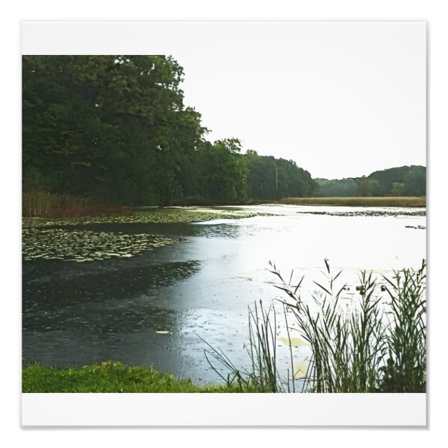 Foto Wet Day (Frente)