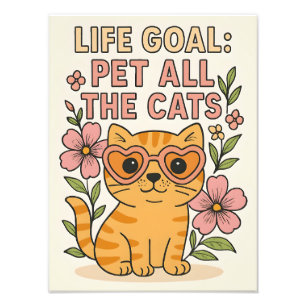 Foto Whimsical Pet Todos Os Gatos