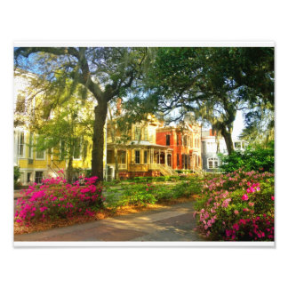 Foto Whitaker Street Em Março