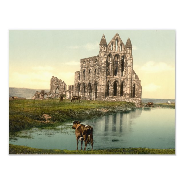 Foto Whitby Abbey II, Whitby, Yorkshire, Inglaterra (Frente)