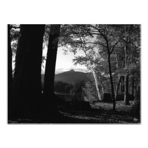 Foto White Birch em Chocorua Sunset Open Edit. Impressã
