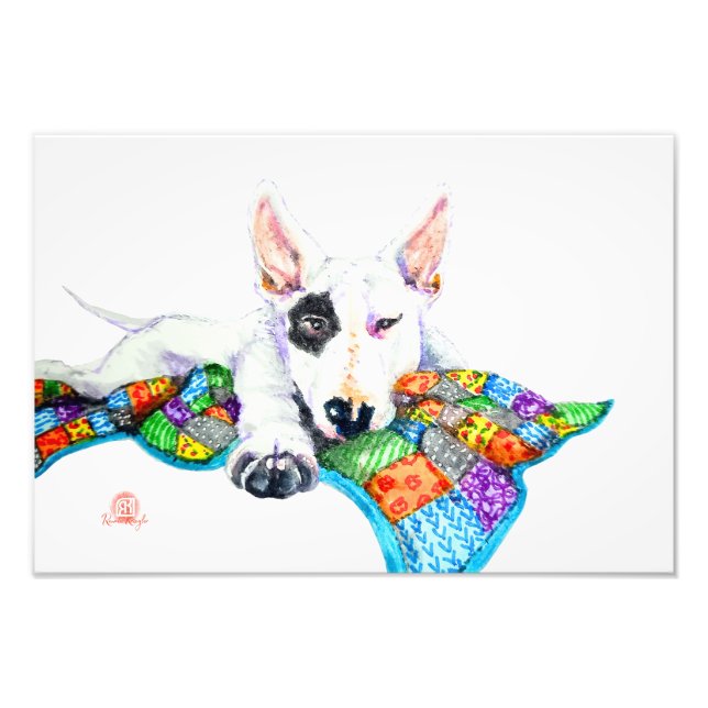 Foto White Bullterrier sobre Patchwork - Arte (Frente)