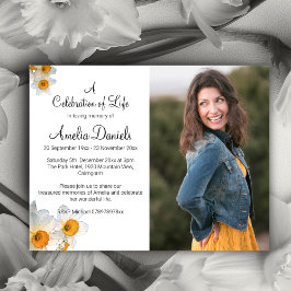 Foto White Daffodil No Cartão De Memória Adorável