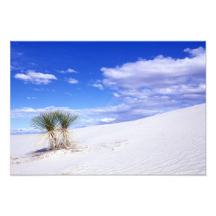 Foto White Sands NM, Novo México, EUA