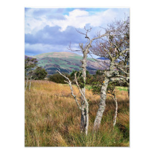 FOTO WILD WALES