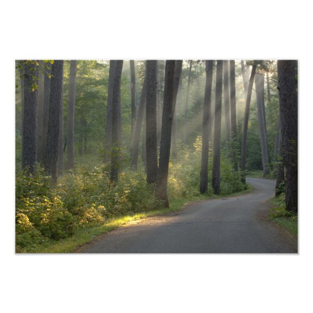 Foto Wilderness Drive, Parque Estadual de Itasca, (Frente)