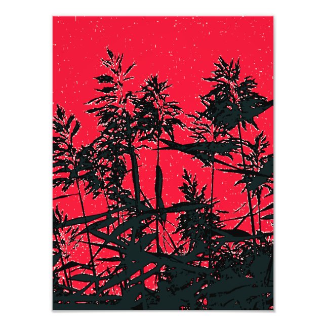 FOTO WILDFLOWERS (Frente)