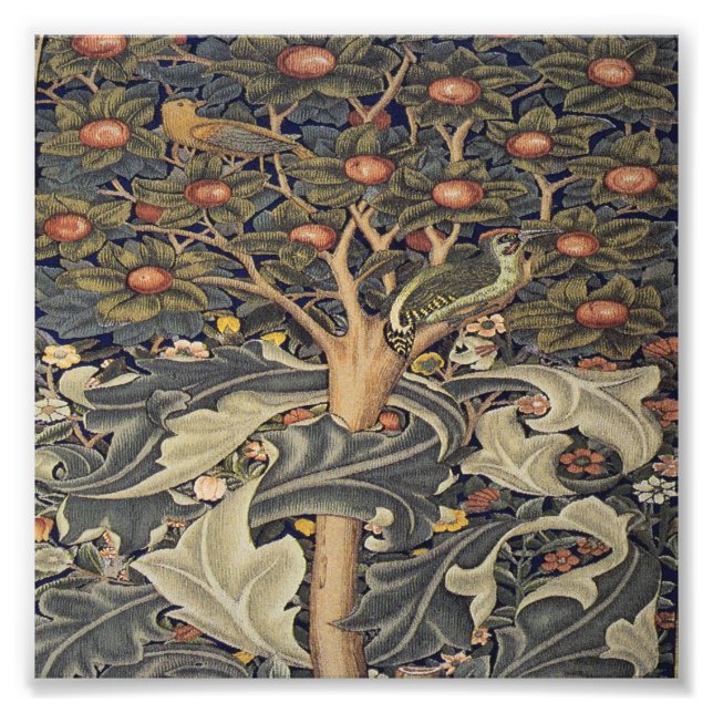 Foto William Morris bela obra de arte nouveau, William (Frente)