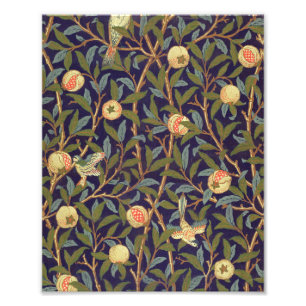 Foto William Morris Bird E Pomegranate Vintage Art