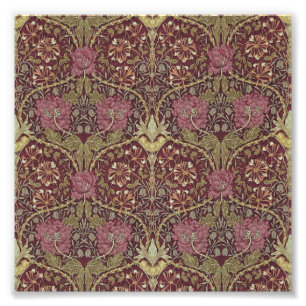 Foto William Morris, madressilva, floral. teste padrão