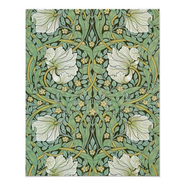 Foto William Morris - Pimpernel (Frente)