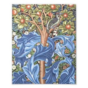 Foto William Morris Woodpecker Tapeçaria Vintage Floral