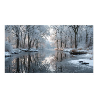 Foto Winter forest scene with frosted trees
