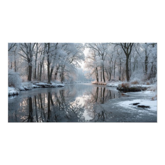 Foto Winter forest scene with frosted trees (Frente)