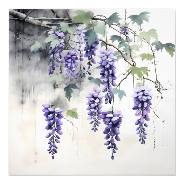 Foto Wisteria Flowers Nature (Frente)