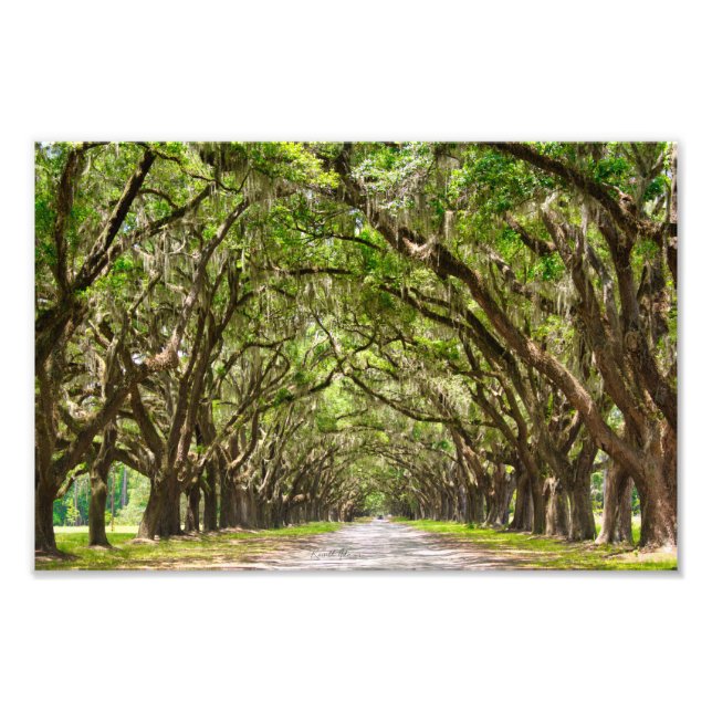 Foto Wormlow Plantation, Savannah, GA (Frente)