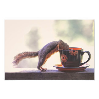 Foto Xícara de Esquilo e Café