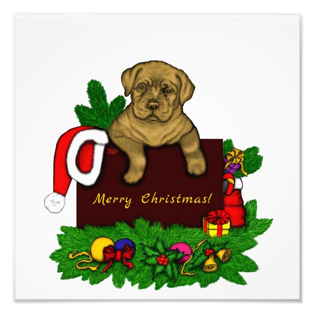 Foto XMas puppy (Frente)