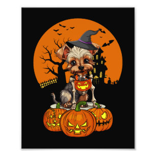 Foto Yorkshire Terrier Dog Halloween