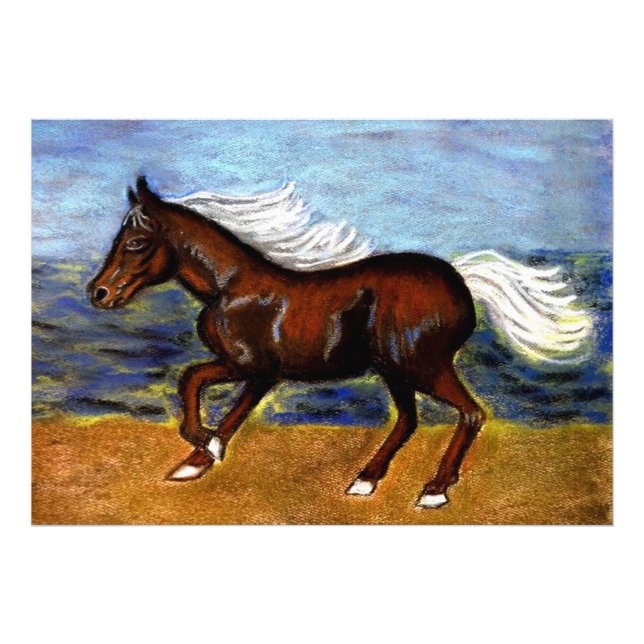 Foto Young Colt (Frente)