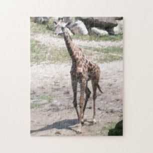 Foto: Young Giraffe Walking Jigsen Quebra-cabeça