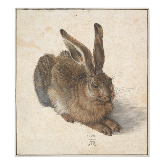 Foto Young Hare por Albrecht Durer (Frente)