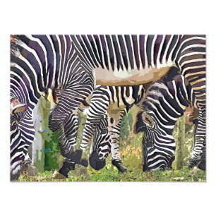 FOTO ZEBRAS