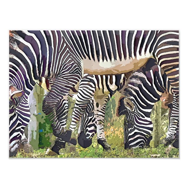 FOTO ZEBRAS (Frente)
