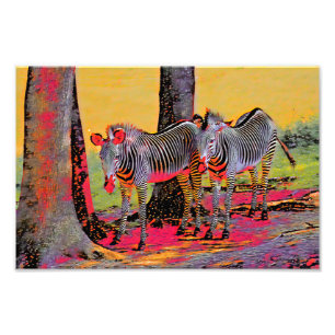 Foto Zebras Coloridas