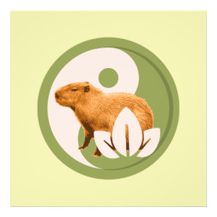 Foto Zen Capybara Yin Yang